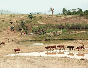 Ethiopia picks green energy for sustainable growth plan