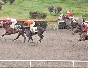 Horse race, poetry, arts, all on schedule