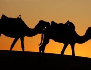 Mali gives Frances Hollande new camel after first one eaten by caretakers