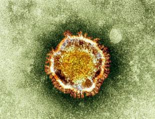 WHO warns over SARS-like virus