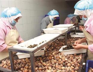 Export by rail route to eliminate high costs