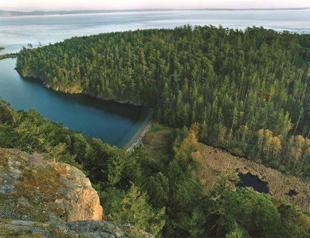 Offshore accounts leak to stop repeating ‘Greek Cypriot case’