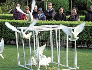 China boosts flu response as cases rise