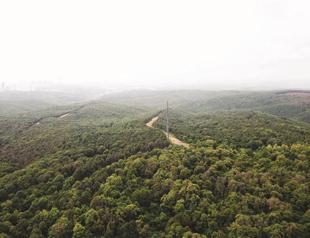 Istanbul welcomes summit on forestry