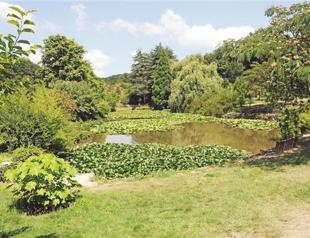 Turkish projects boosting living standards of forest communities