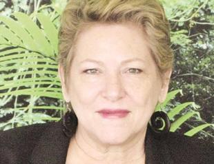 Principal functions of UN Forum on Forests