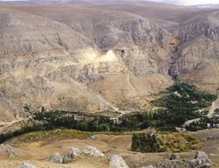 Action plan for erosion control and forestation