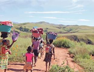 Once green Madagascar works for more forest land and biodiversity