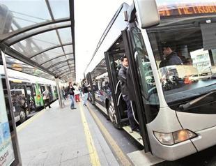 Male Turkey vs. female Turkey