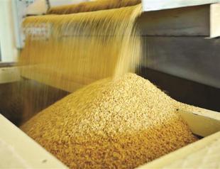 Biosecurity Board suspends entry of 26 GMOs to Turkey