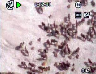 Two makeshift pipelines discovered on Iranian border