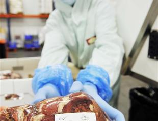 5 percent horsemeat found in EU products