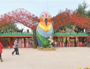 Into the wild at Gaziantep Zoo