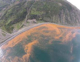 Red tides spotted on Marmara Sea, near Istanbul shores