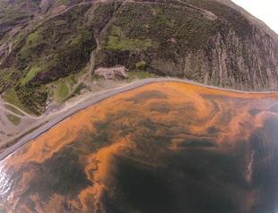 Red tide poses risk for sea ecosystem