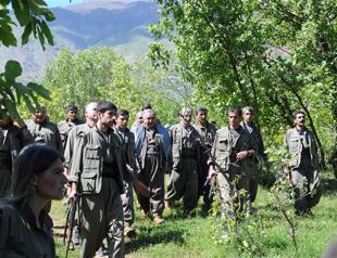 No PKK support to Kurdish state plans in northern Iraq