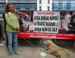 Man sentenced to two years and six months after raping dog