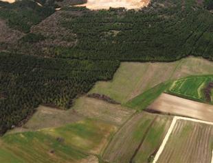 Complaint filed to halt tender for third airport