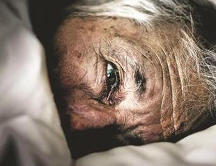 Cinephile delight as Istanbul film festival returns