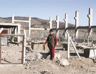 Industrial plant becomes a new home for stray dogs in Çankırı