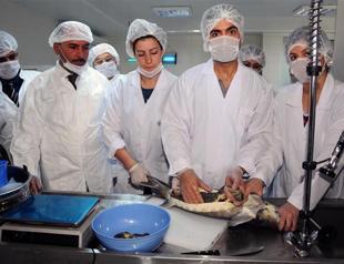 Turkish caviar on the way to export to the world