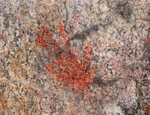 Ancient paintings discovered in Aydın