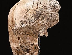 Cannibalism resorted to by early US settlers