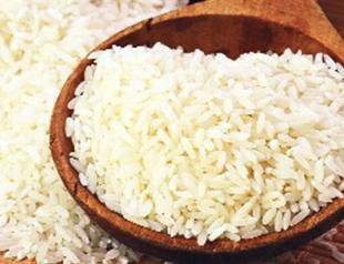 Test on GMO rice inadequate and ‘technically invalid,’ university says