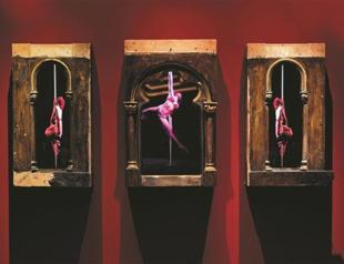 Mat Collishaw’s solo exhibit opens at Arter