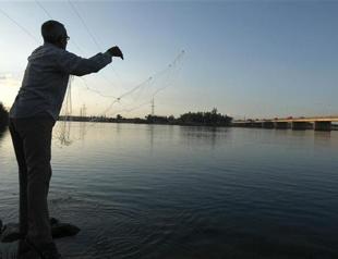 Syrian war bears environmental cost: foundation