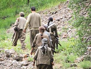 PKK will be out by the end of June, says BDP