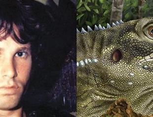 Giant reptile named after Jim Morrison