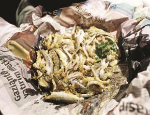 Bonitos of Bosphorus: Where do they go