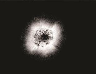 Koray Kantarcıoğlu’s exhibition opens