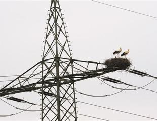 Last call for license return to ‘inactives’ in Turkey