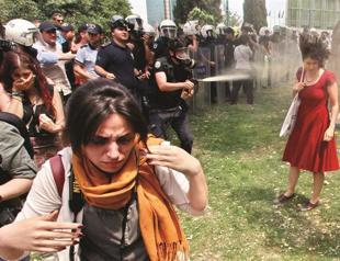 Defining ‘Red Hot Chili Pepper’