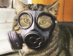 Documentary Days films free for public