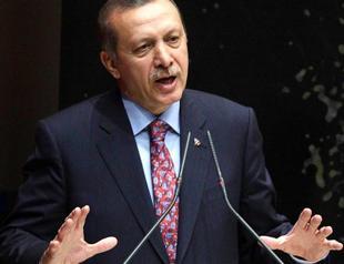 Turkish PM vows tougher action against Gezi Park protestors