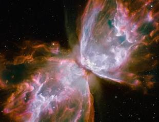 NASA enlists public in hunt for asteroids