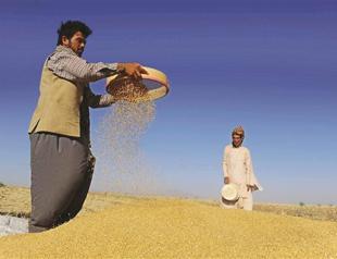 Asia to turn to Black Sea wheat after years