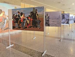 Tragedy in Syria on view in exhibition