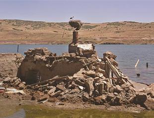 Dam operation halted for 20 days to save baby storks in southeastern province