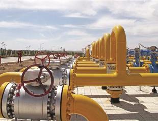 Turkey good at refixing gas prices: Energy agency