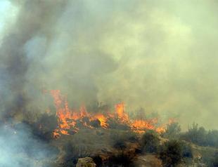 Forest fire in Turkeys Antalya yet to be brought under control