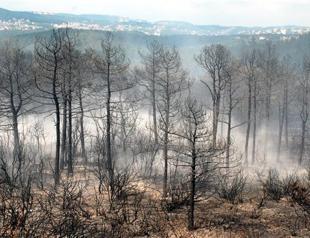 Fire breaks out again in Istanbul’s Beykoz district