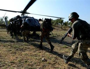 15 million cannabis plants destroyed in new wave of narcotics operations