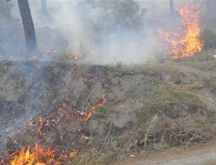 Fire erupts in Aegean province, halts interprovincial traffic
