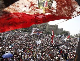 Brotherhood rejects interim timetable for elections in Egypt