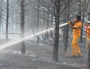 Successive fires erupt in Ankara woodland, Çanakkale memorial park