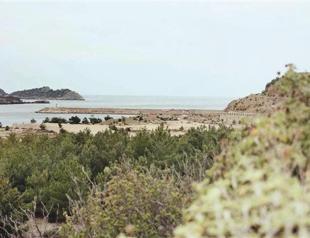 Building of Turkeys first nuke plant faces delay risk